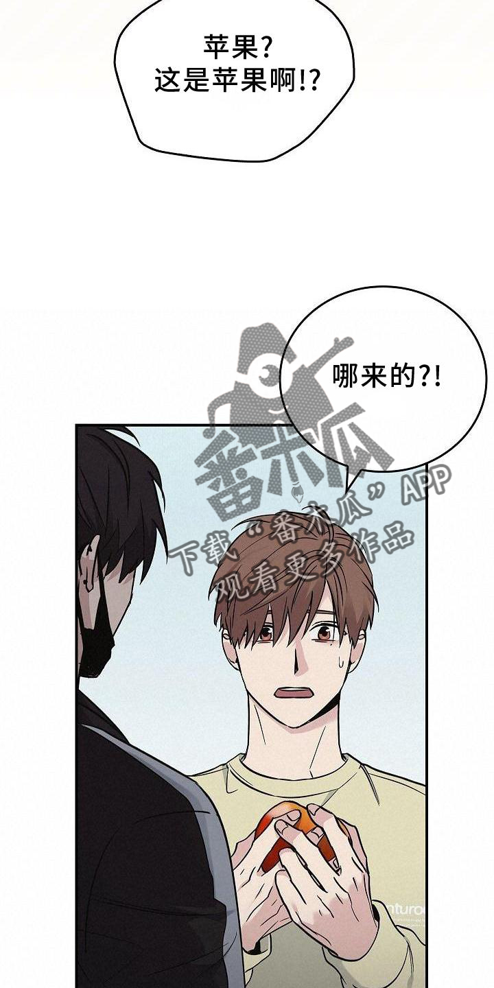 第48章：苹果19