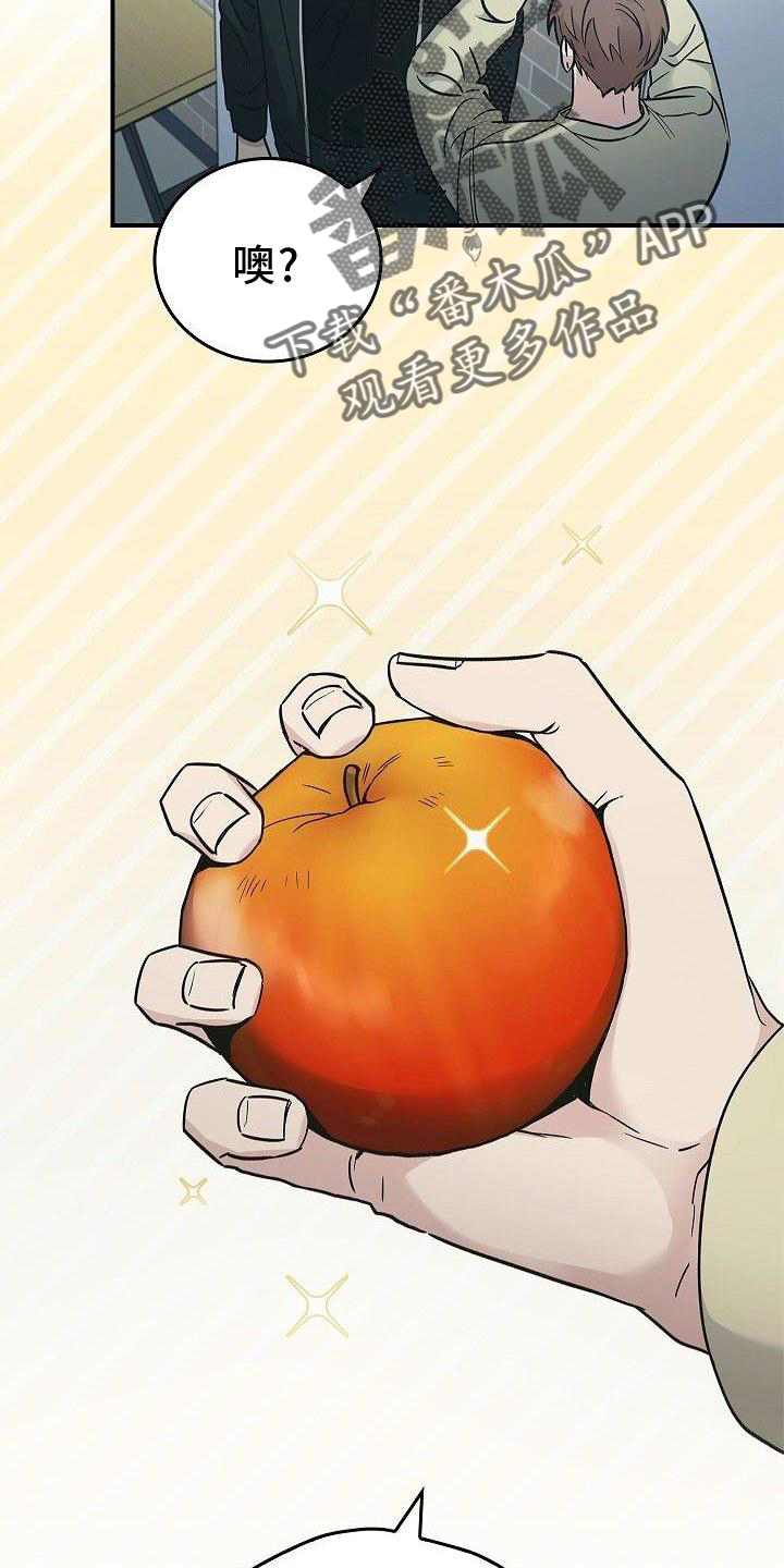 第48章：苹果18