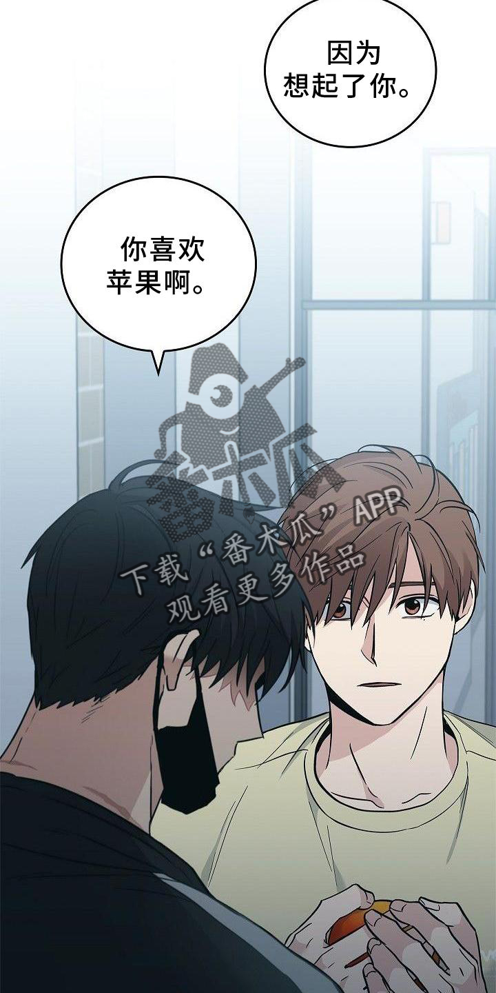 第48章：苹果22