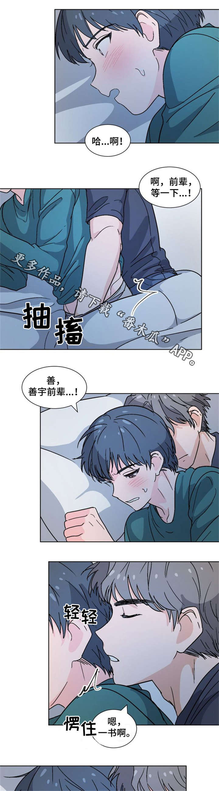 第21章：为什么3