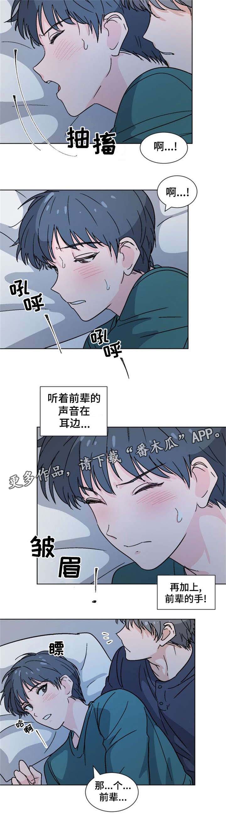 第21章：为什么4