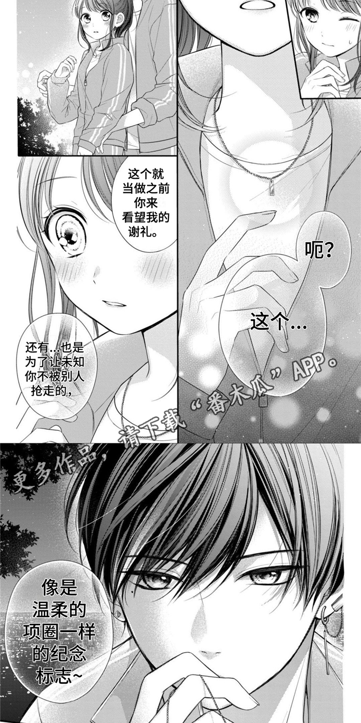 第18章：项链4