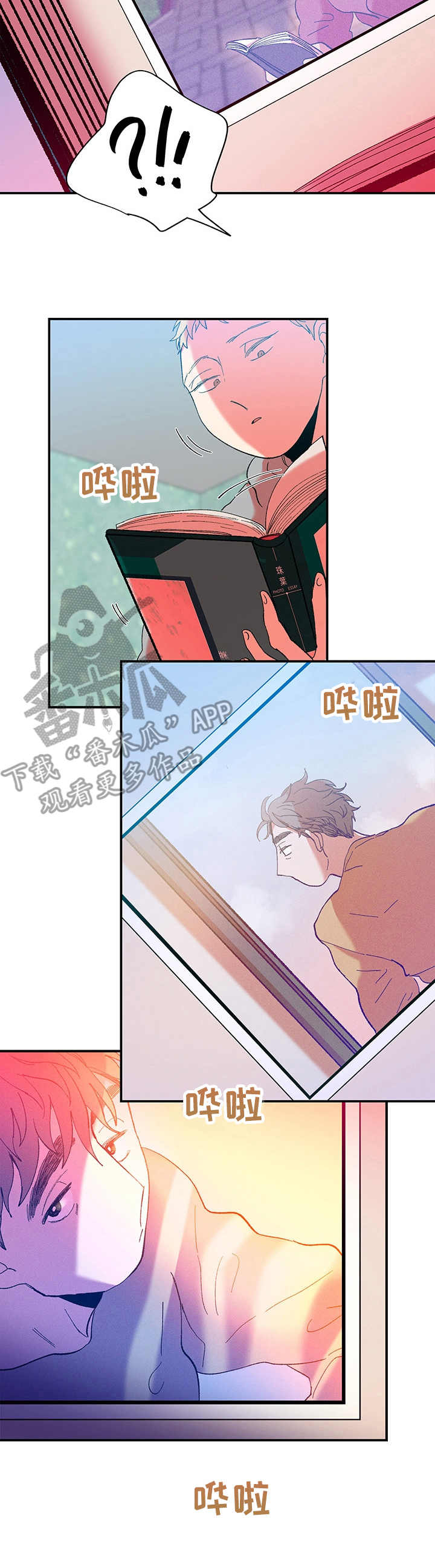 第30章：摄影集3