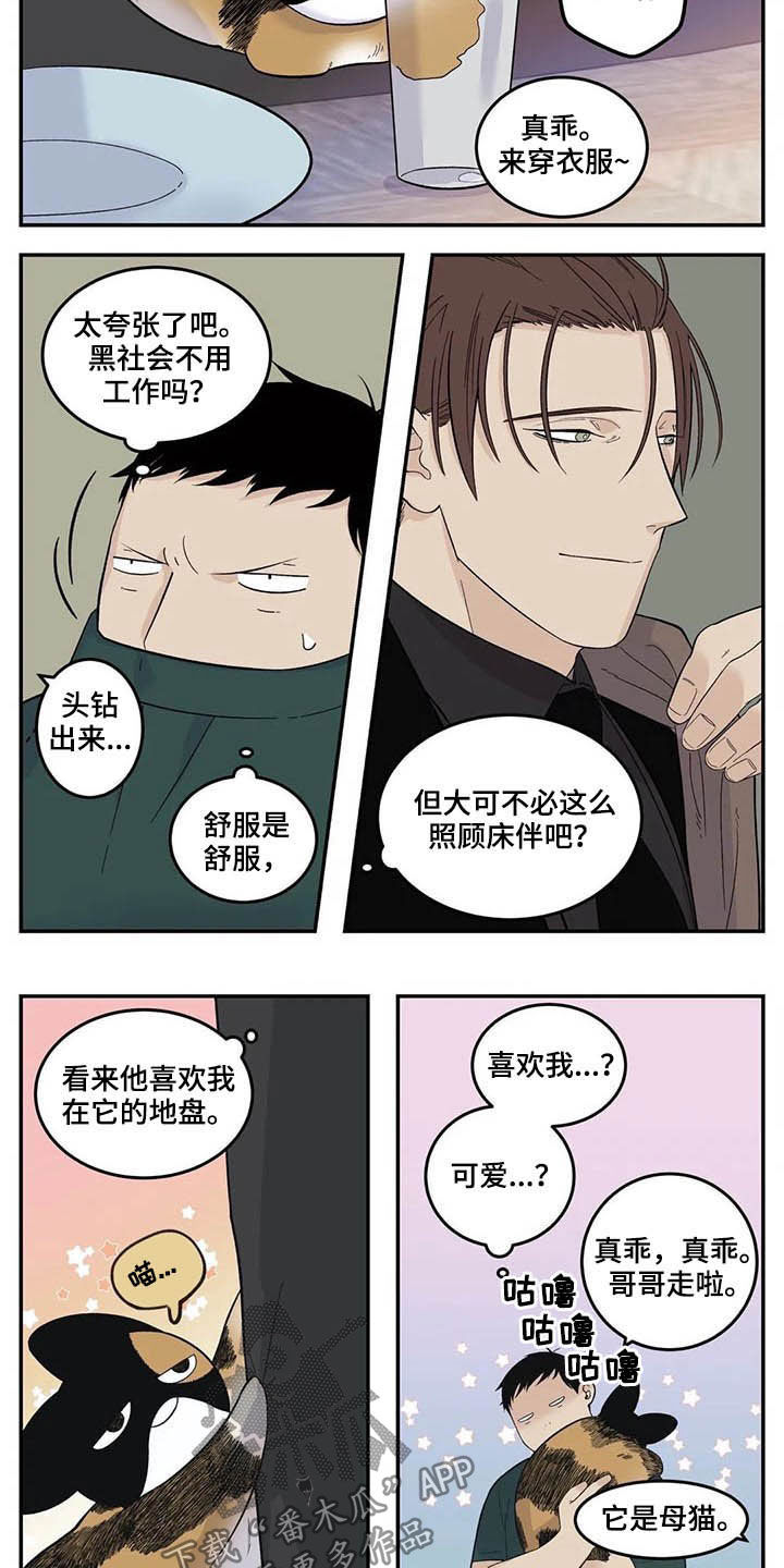 第73章：粗鲁3