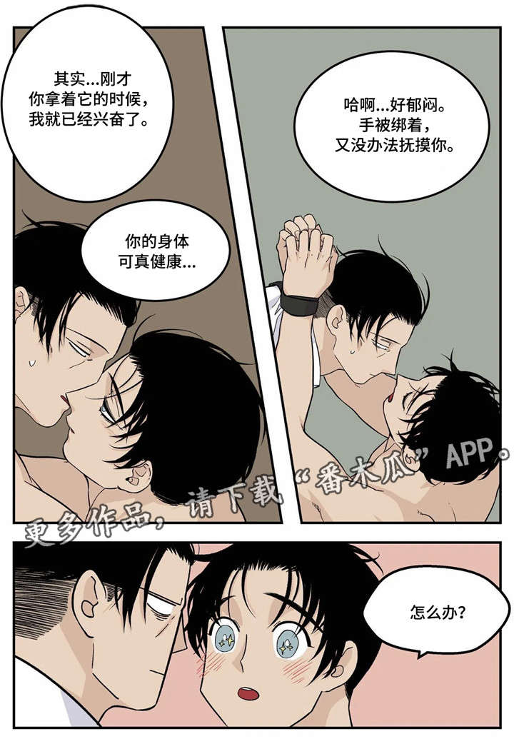 第19章：不要11