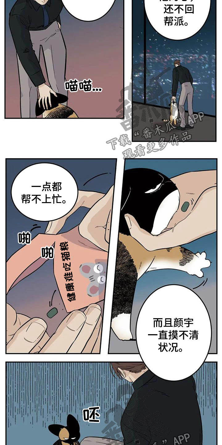 第81章：流浪动物4