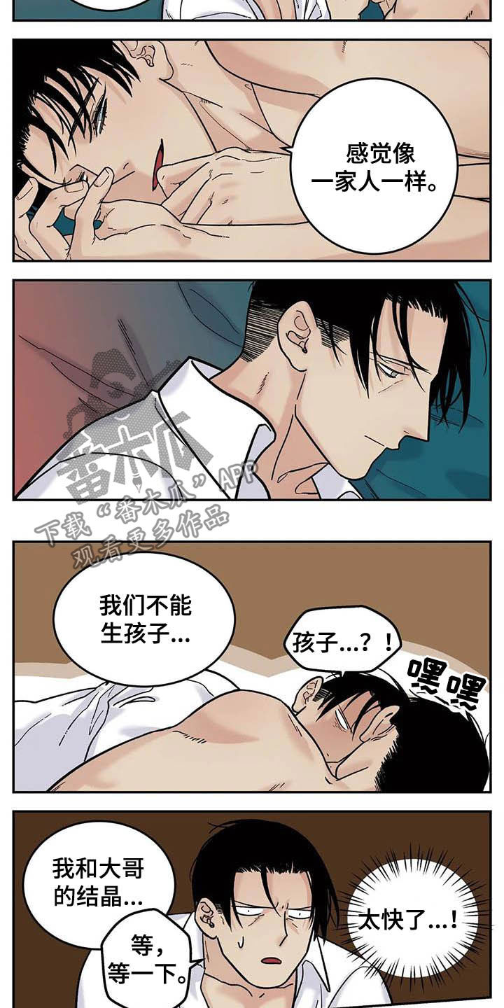 第80章：畅想未来11