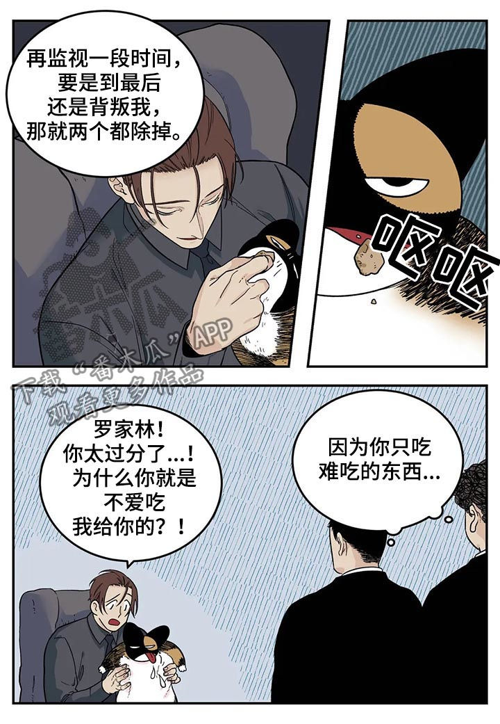 第43章：为我考虑5