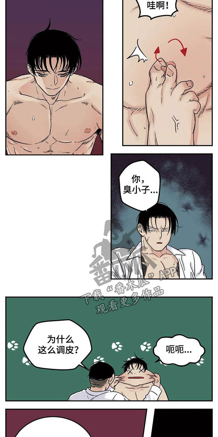 第79章：喜欢你5