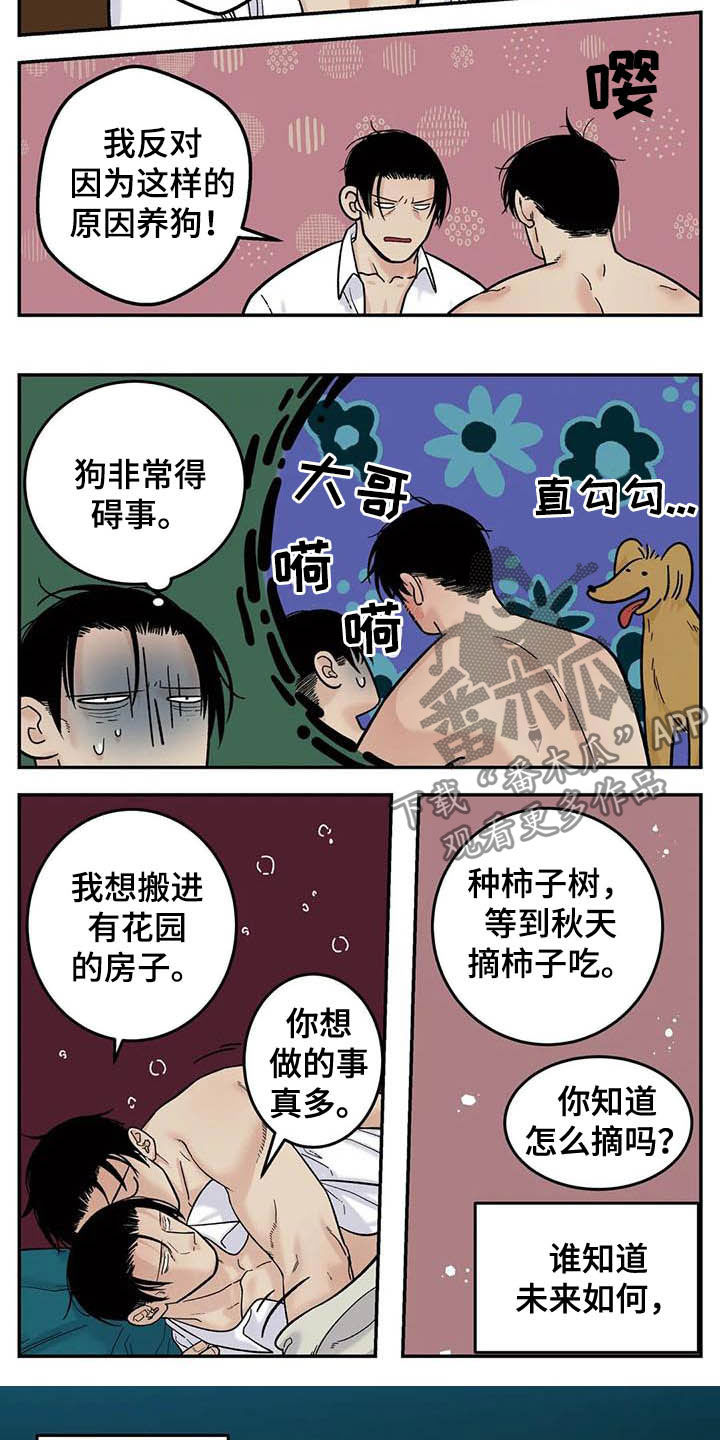 第80章：畅想未来12