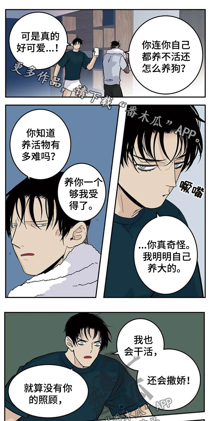 第82章：一天一次亲亲0