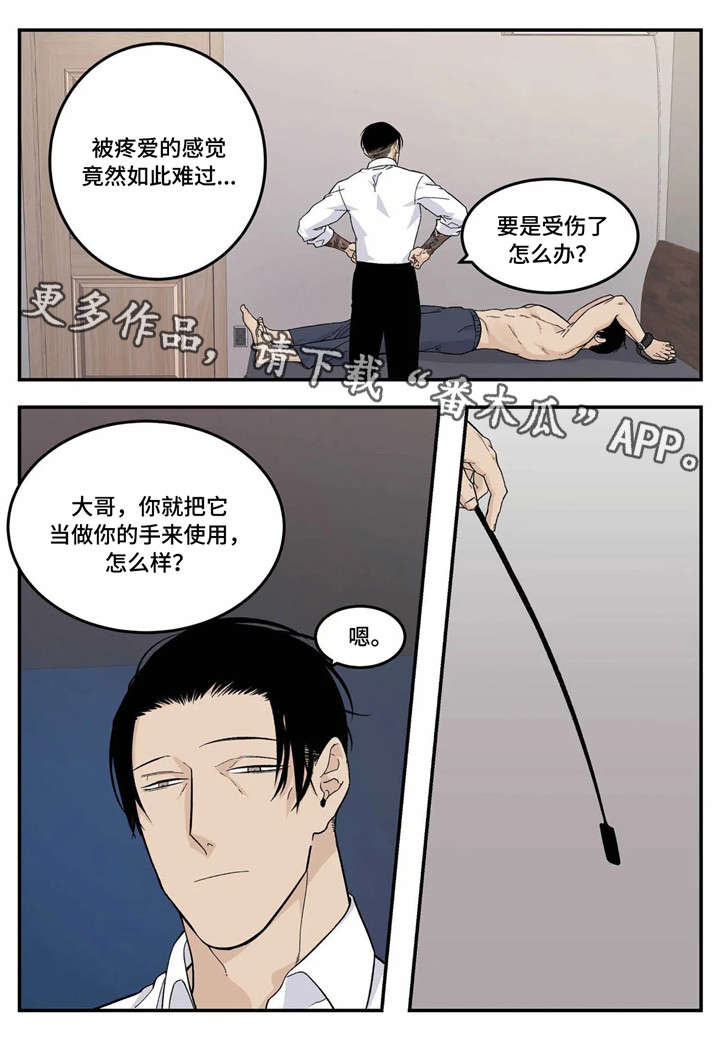 第19章：不要6