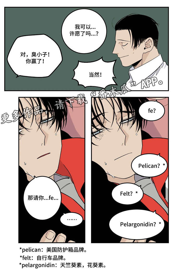 第23章：愿望11