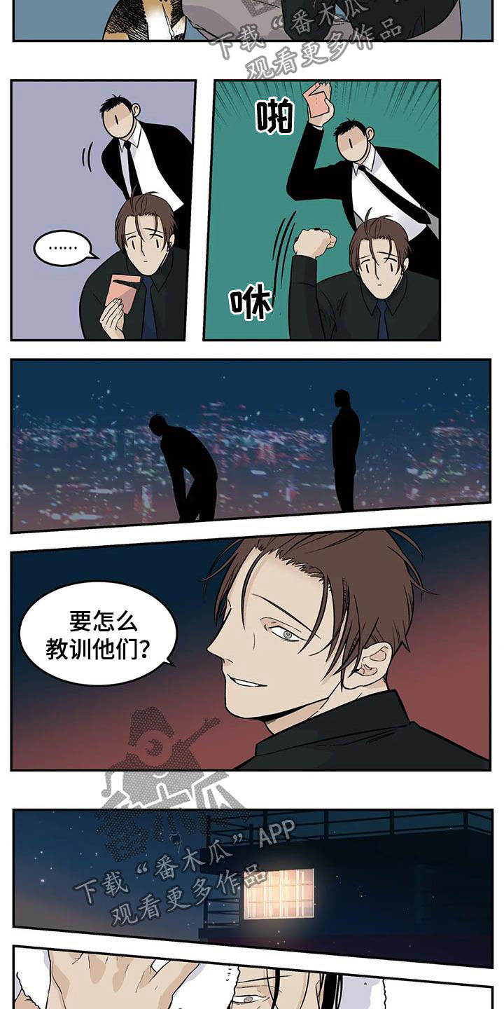 第81章：流浪动物5
