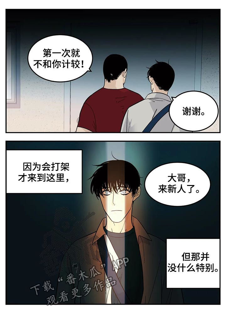 第55章：新人11