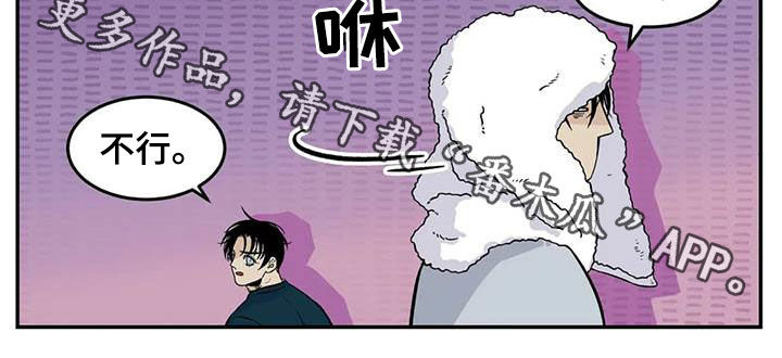 第81章：流浪动物7
