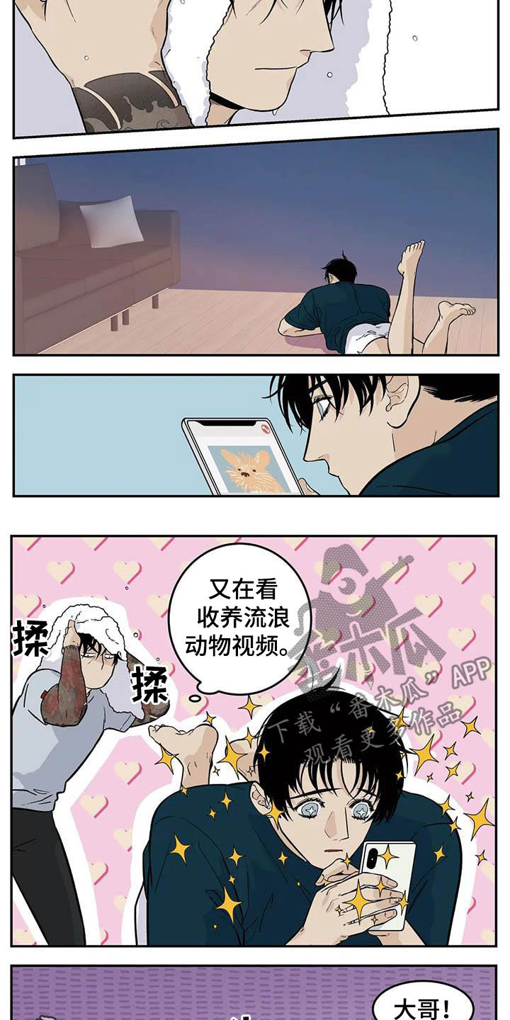 第81章：流浪动物6