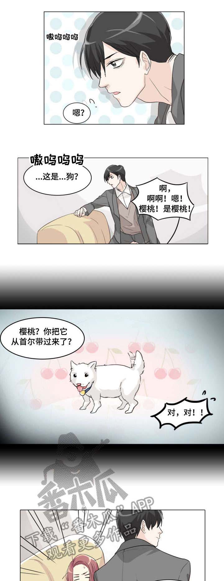 第6章：咬住0