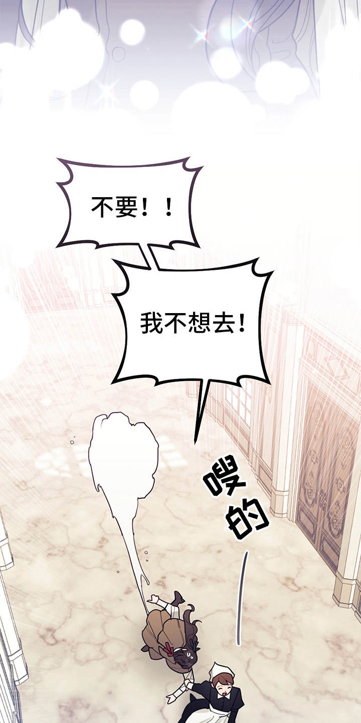 第6章：走自己的路11