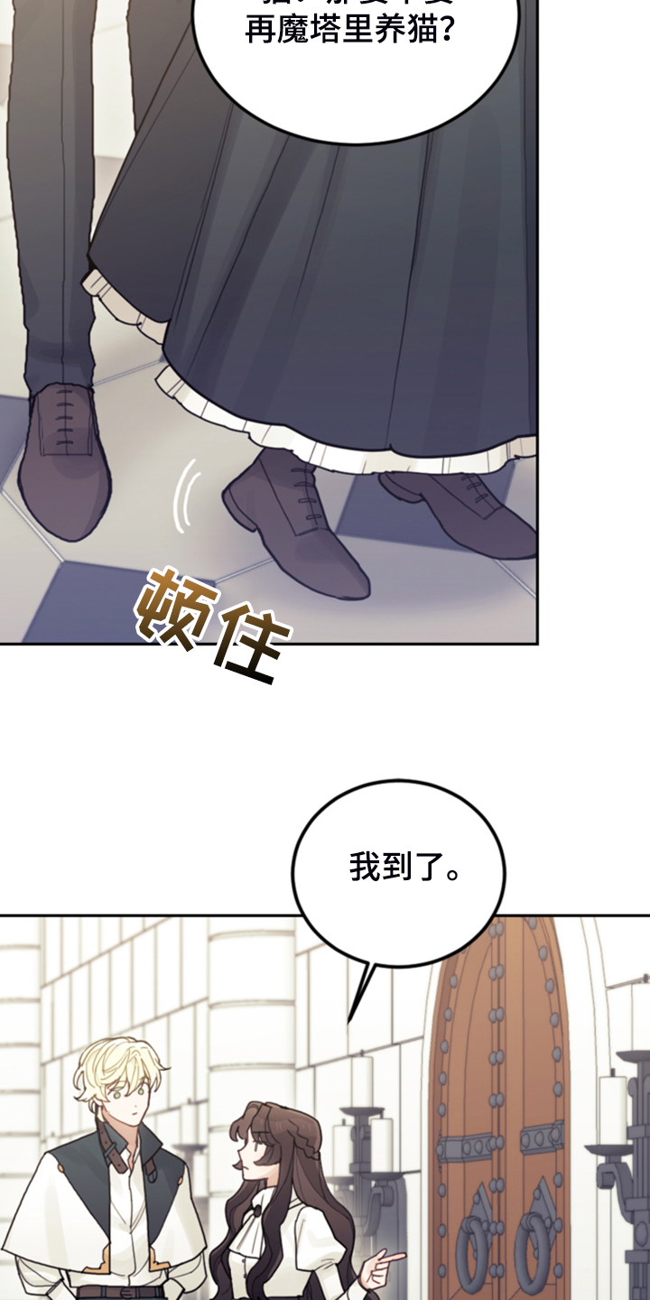 第64章：雷伊诺德也来了25