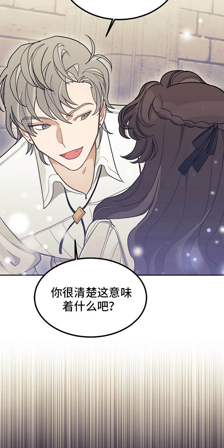 第19章：约定魔法16