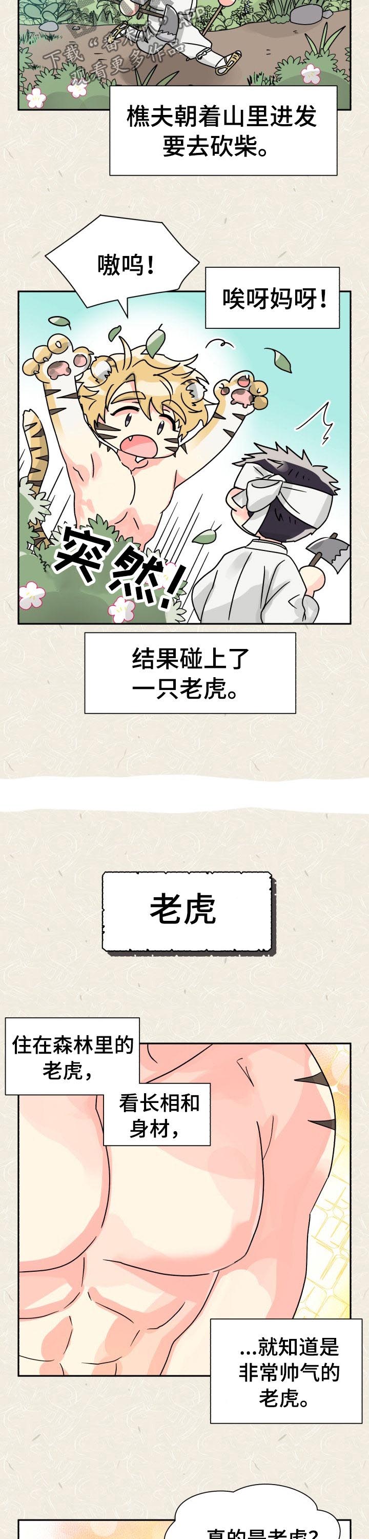 第51章：特别篇：樵夫与老虎1