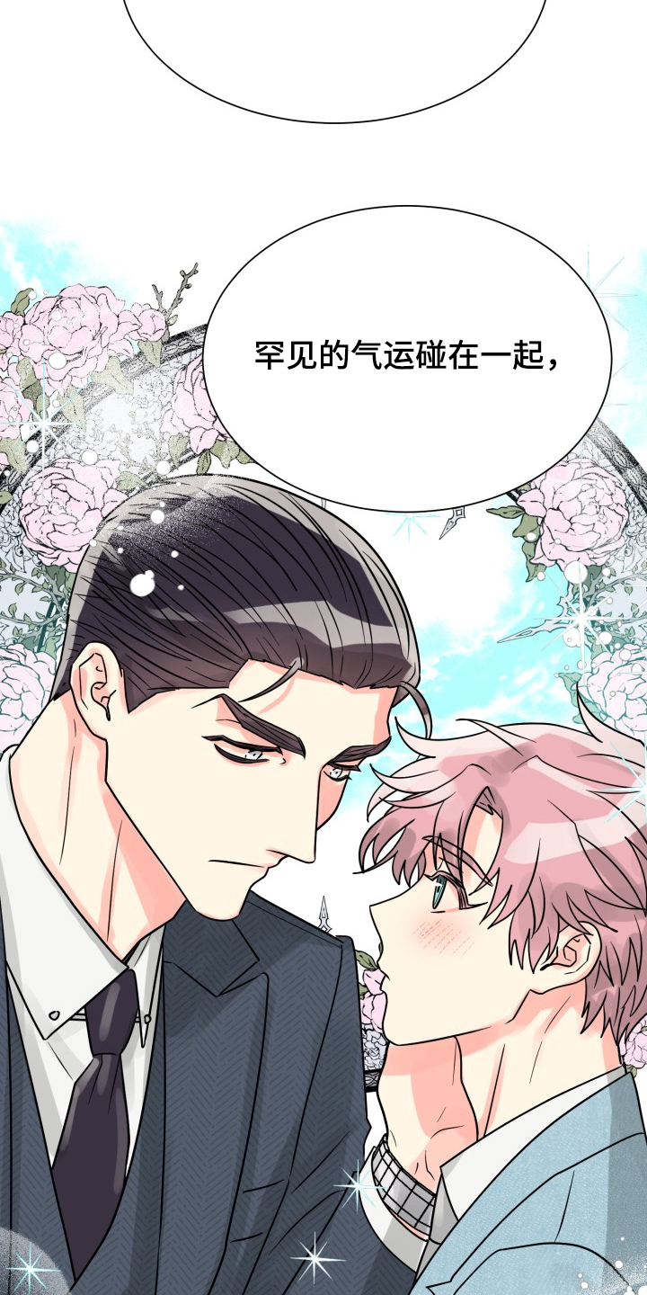 第65章：【第二季】想好了17