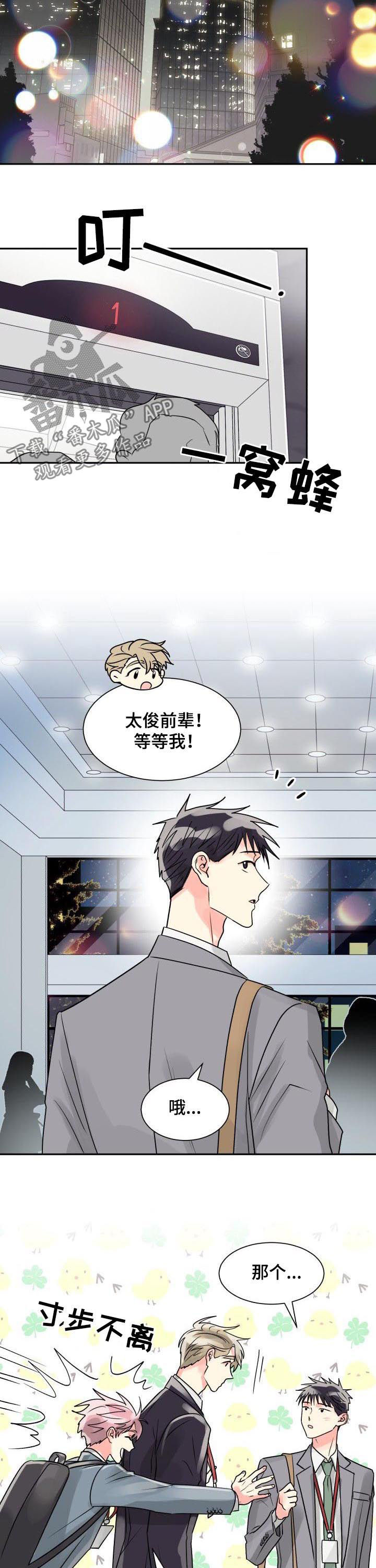 第35章：最合适你的人2