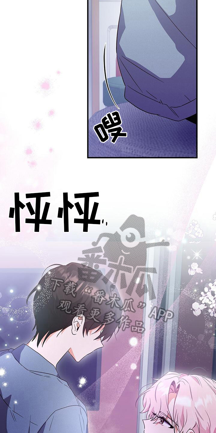 第19章：要求17
