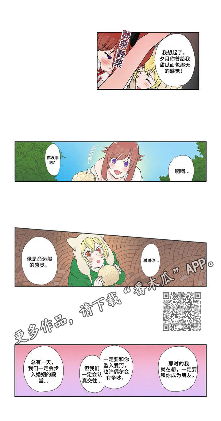 第6章：真面目5