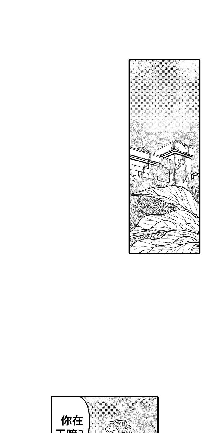 第8章：果园0