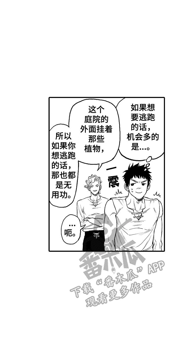 第8章：果园7