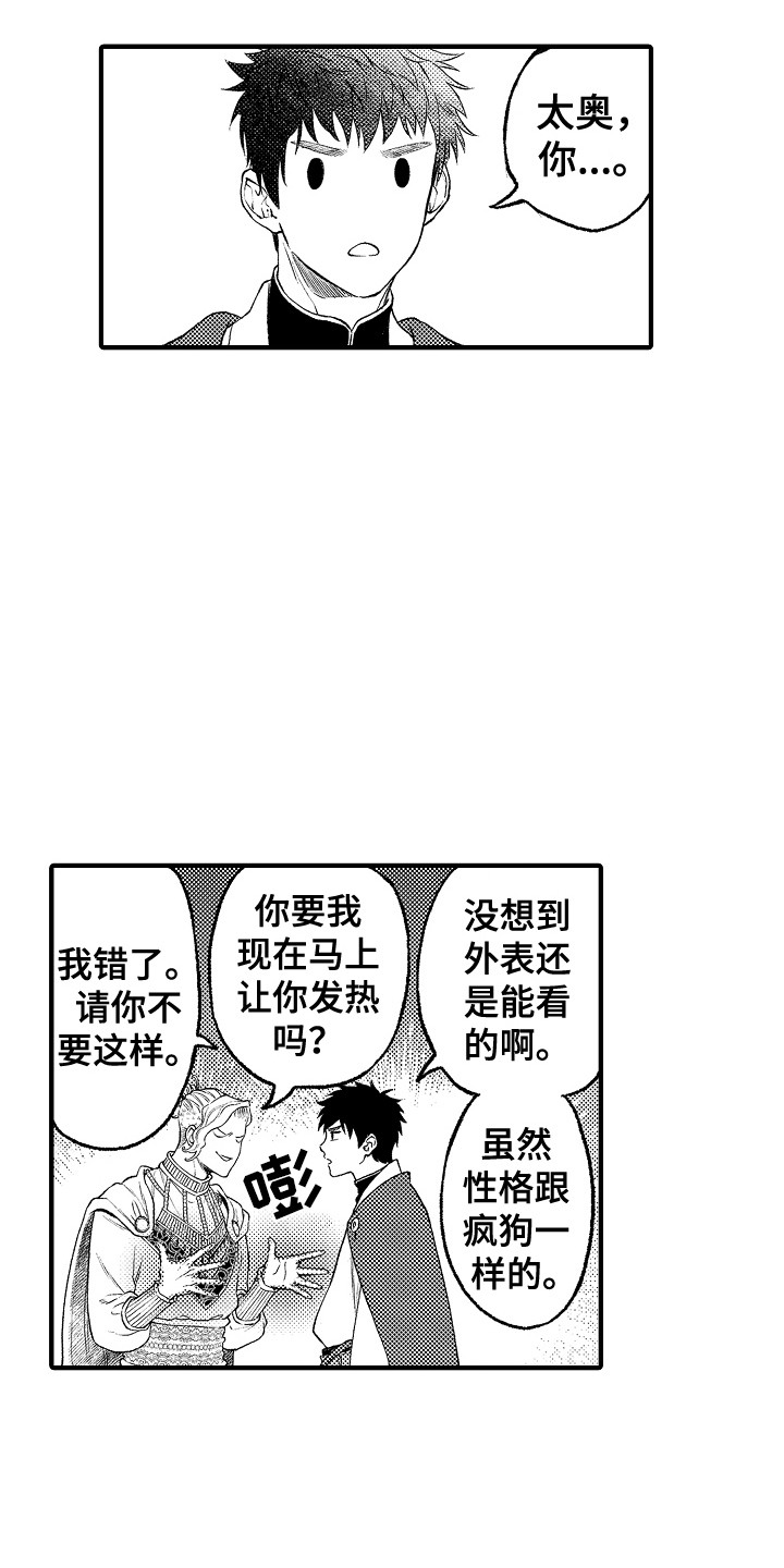 第16章：庆典15