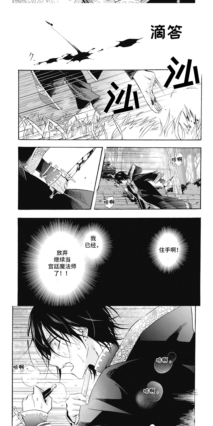 第1章：宫廷魔法师5