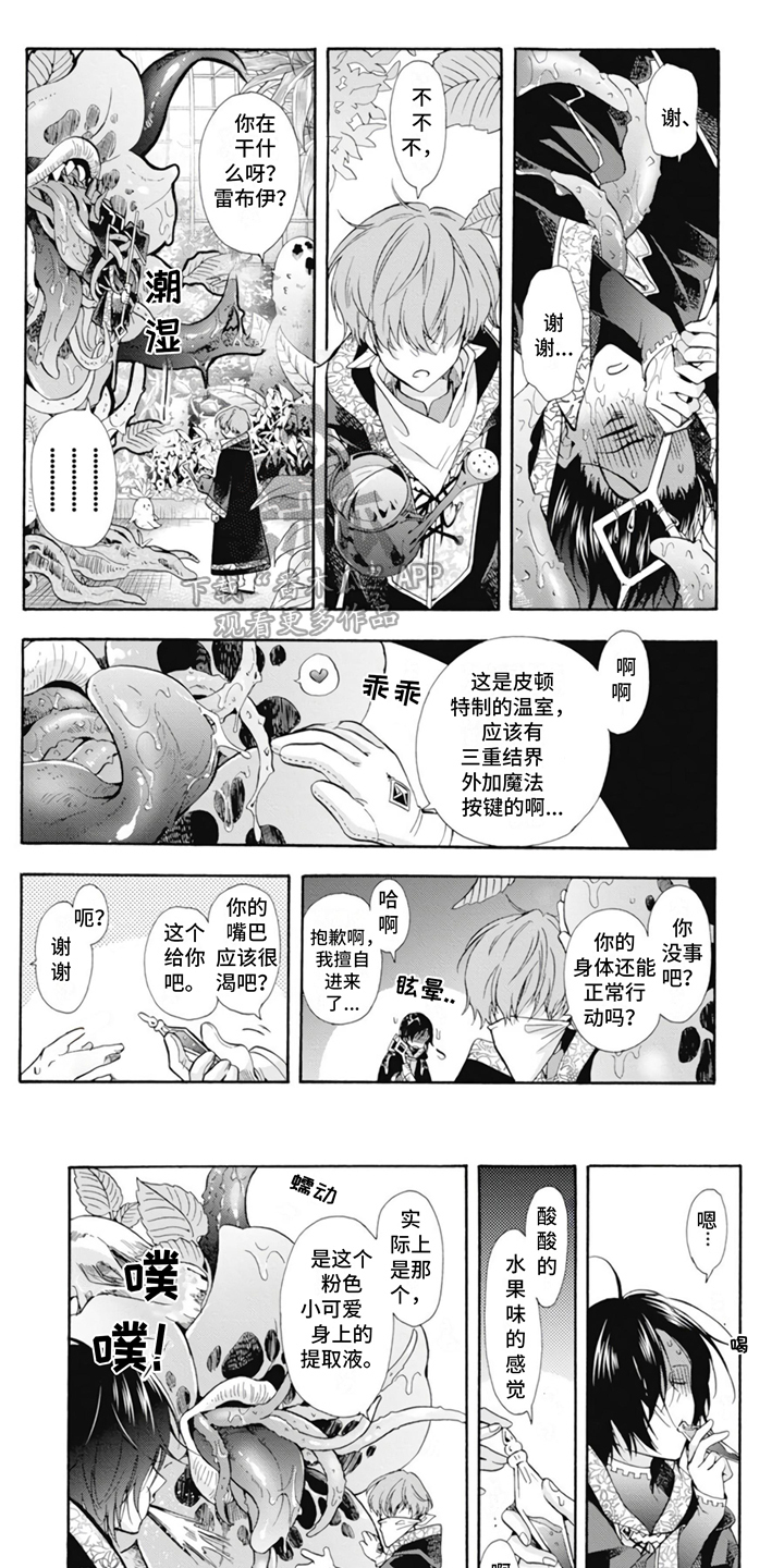 第6章：很耀眼0
