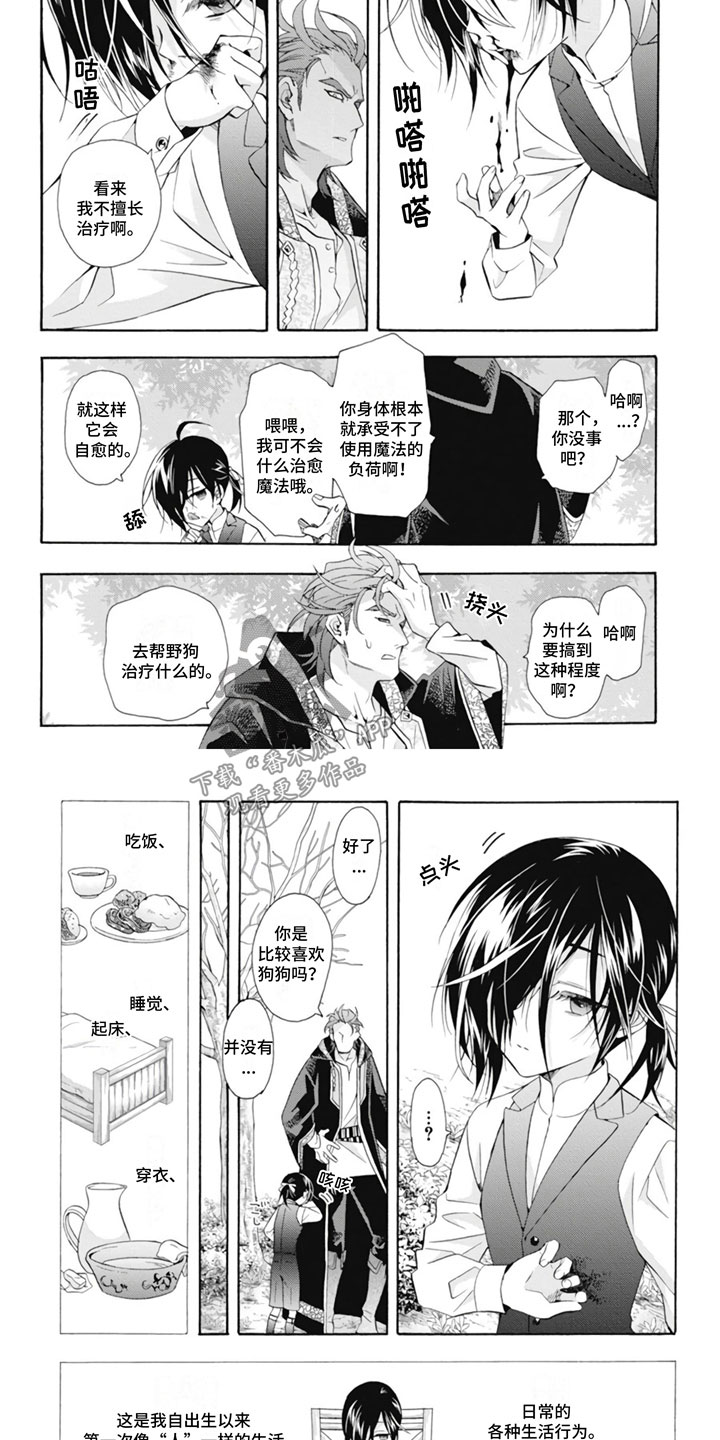 第25章：野狗3