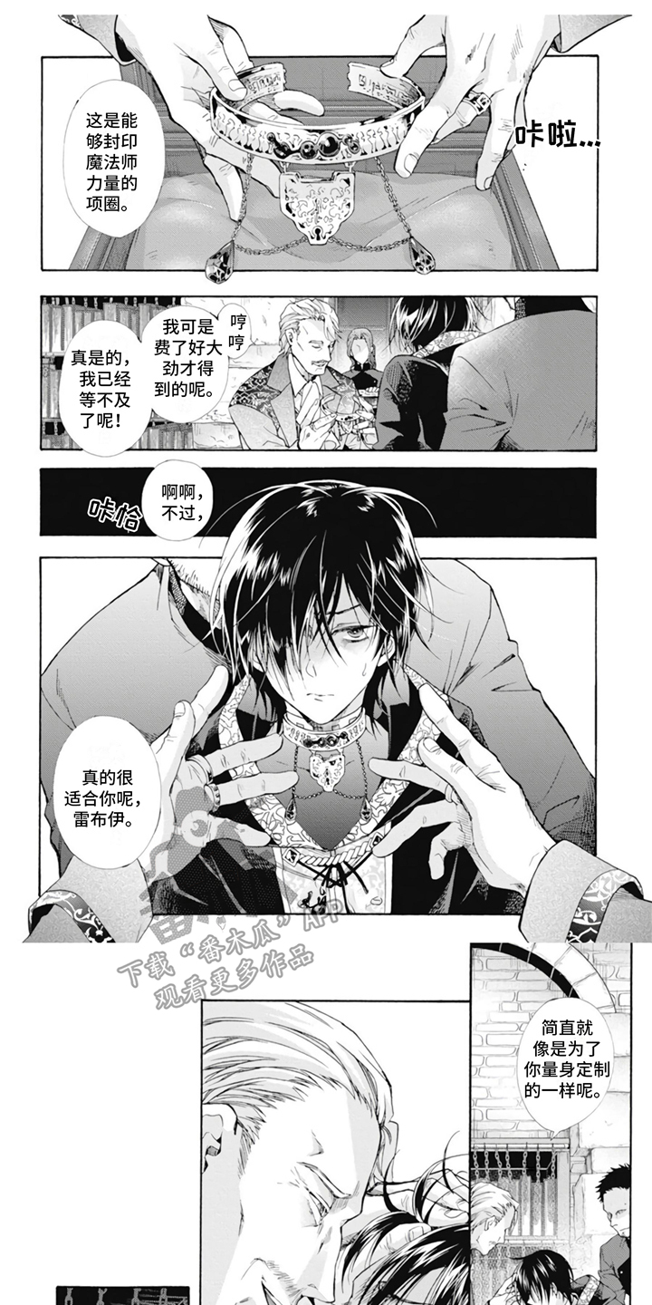 第11章：收藏品0