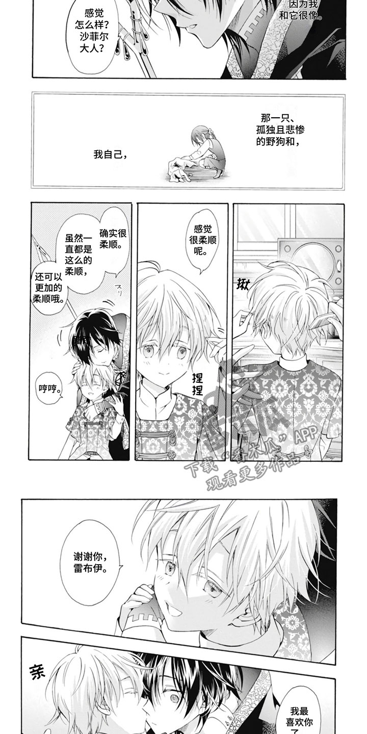 第25章：野狗5
