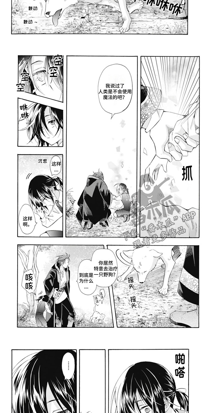 第25章：野狗2