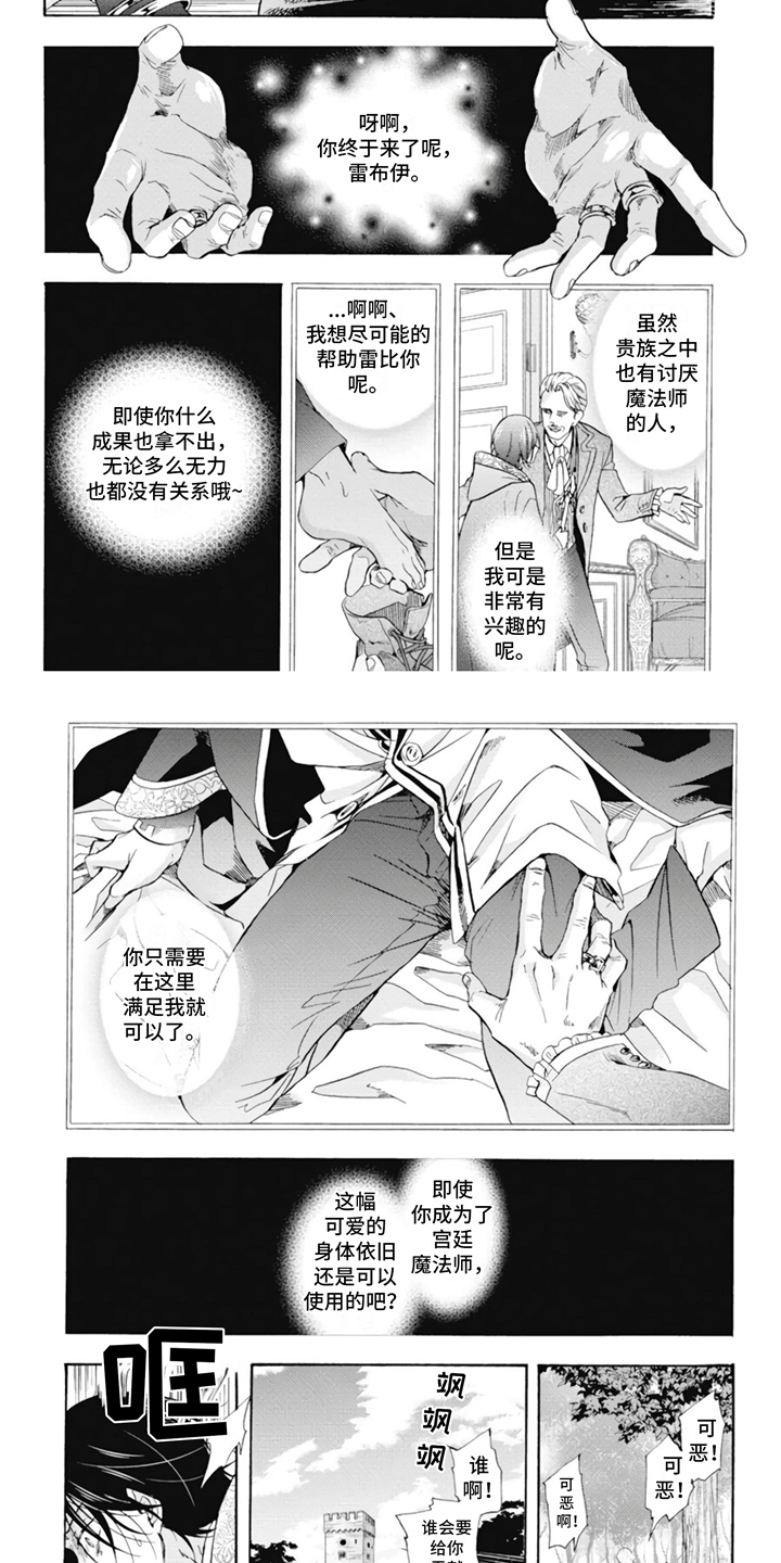 第1章：宫廷魔法师6