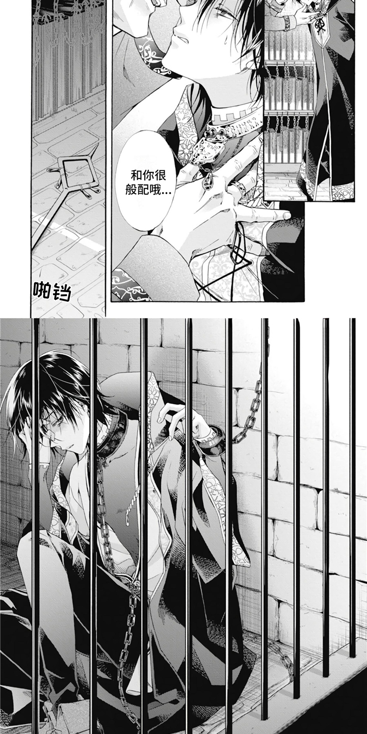 第11章：收藏品1