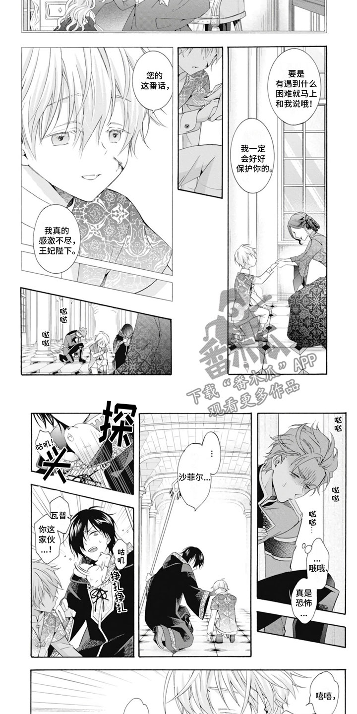 第21章：王妃5