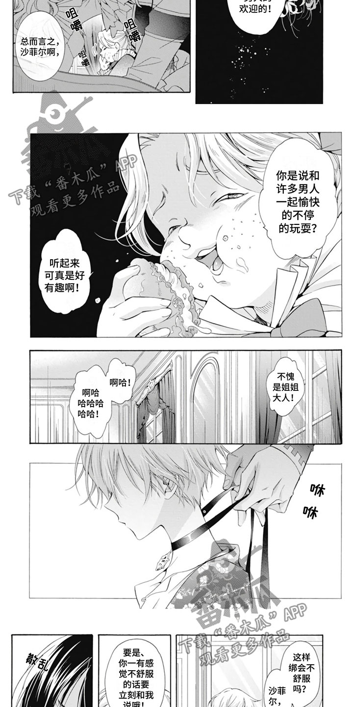 第26章：茶话会准备5