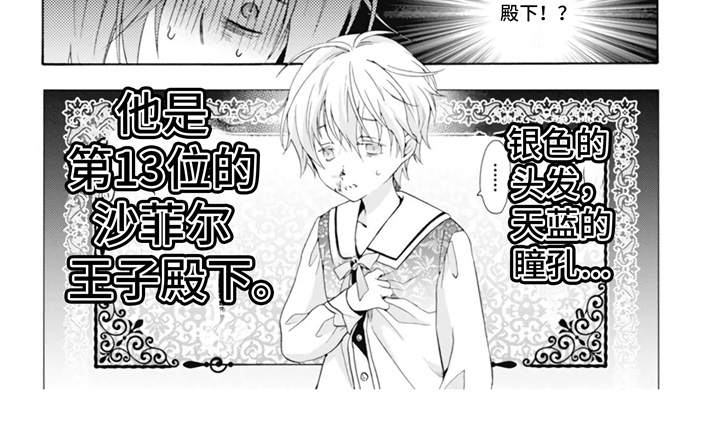 第1章：宫廷魔法师9