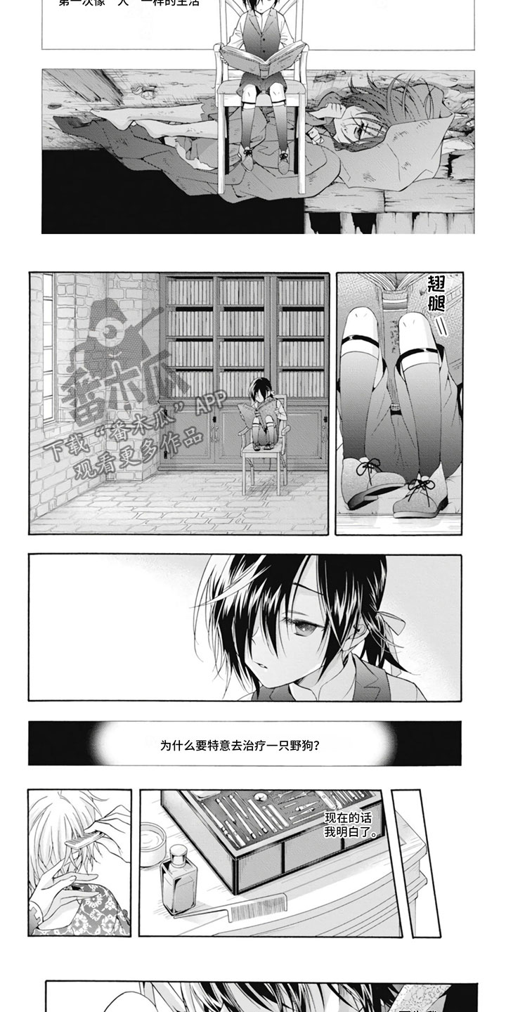 第25章：野狗4