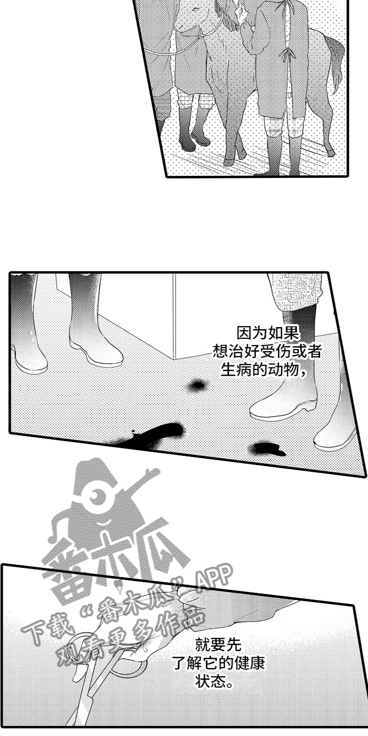 第11章：下定决心8