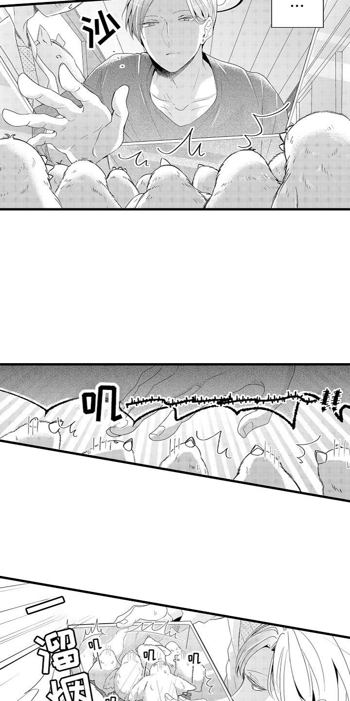 第2章：特殊的能力7