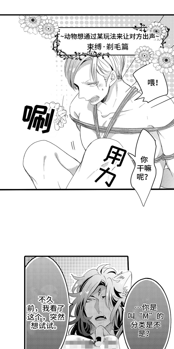 第19章：样子真不错12