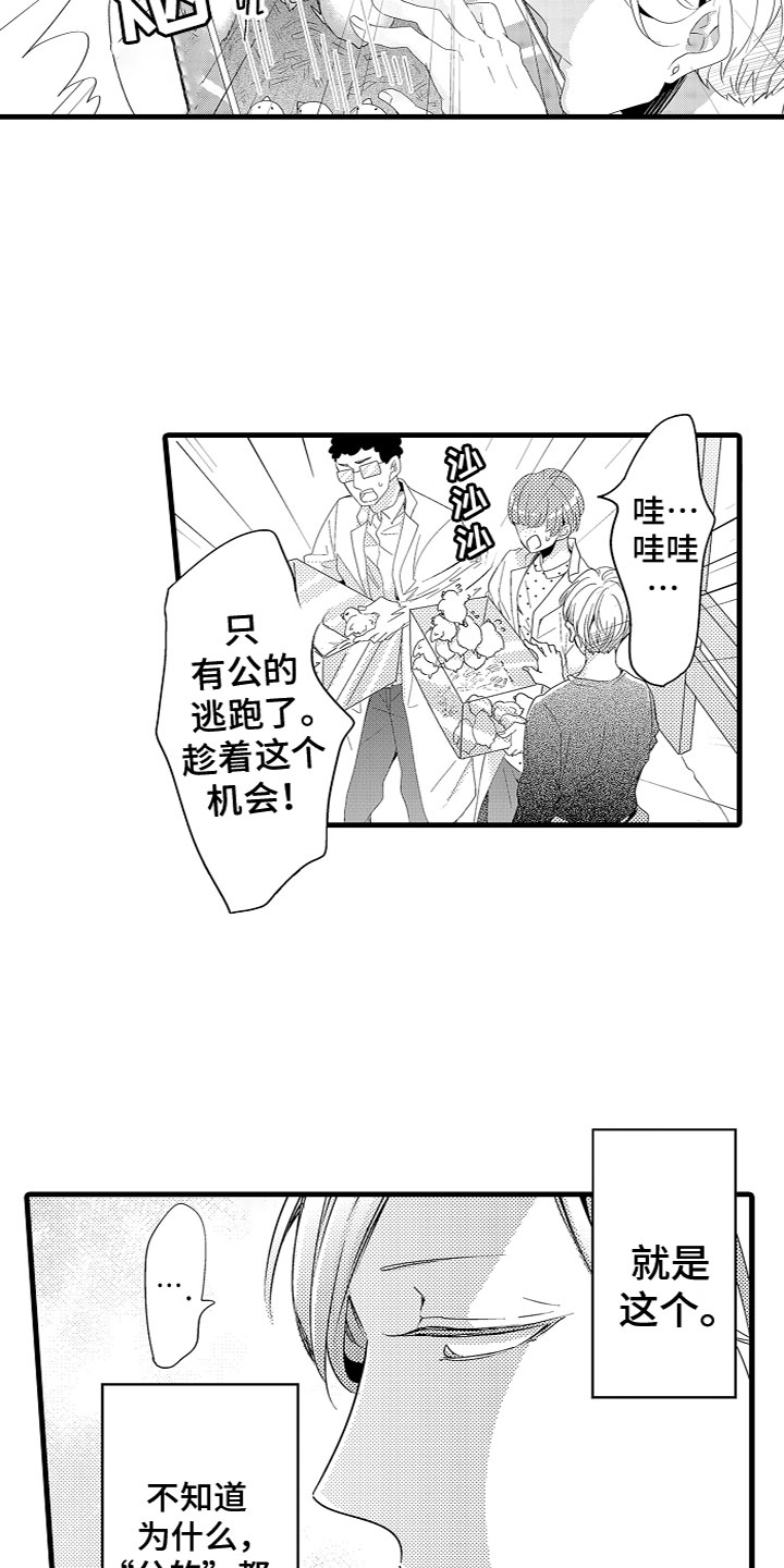 第2章：特殊的能力8