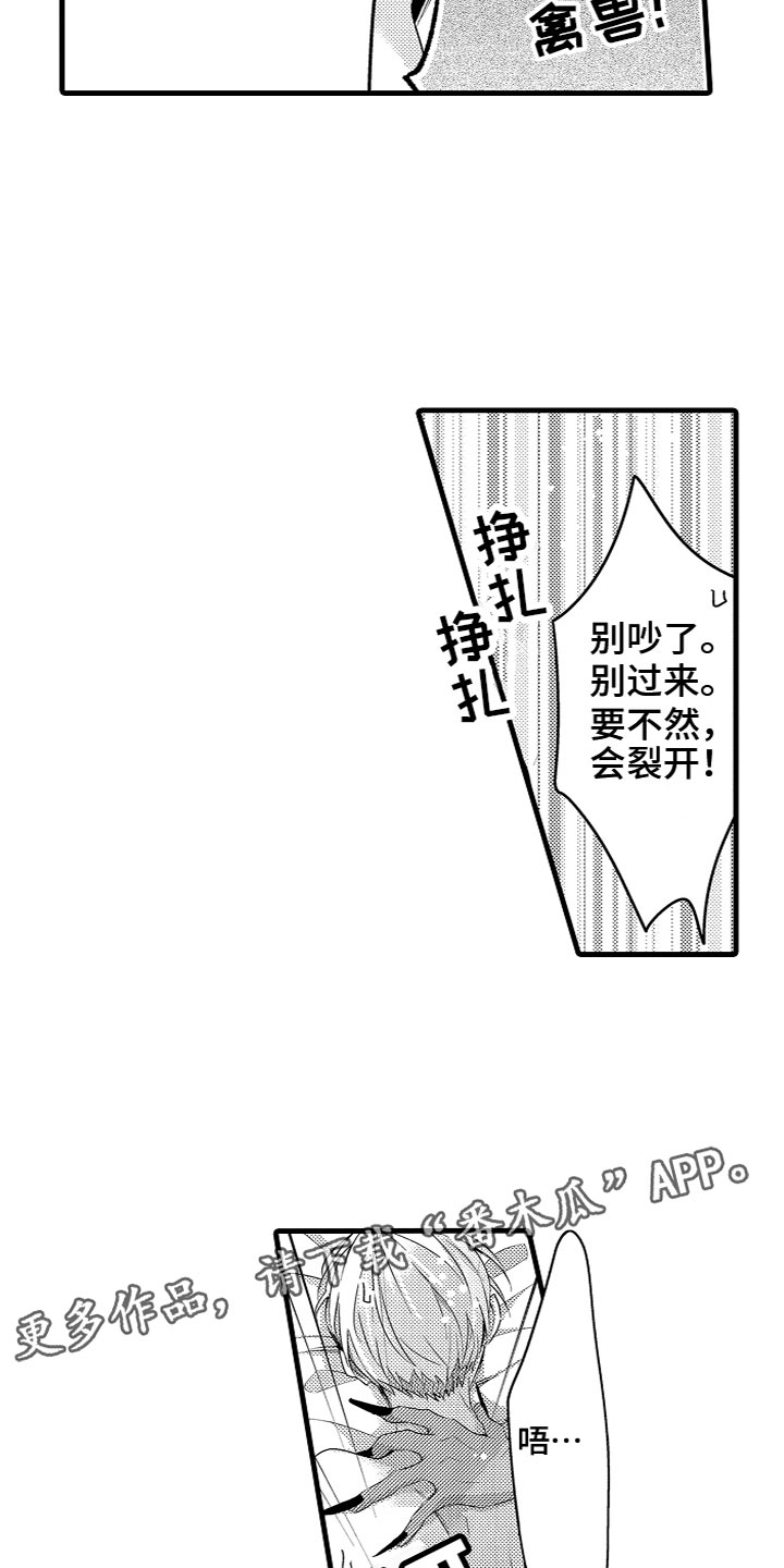 第13章：慢慢适应15